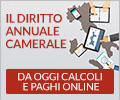 diritto annuale