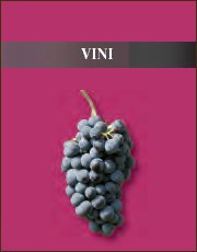 Scarica il capitolo Vini in formato pdf 488 kb